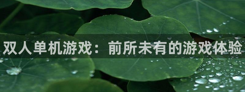 ng娱乐官网链接