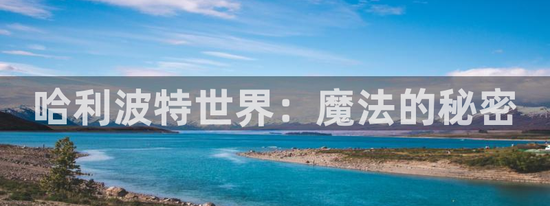 ng娱乐游戏中心官网