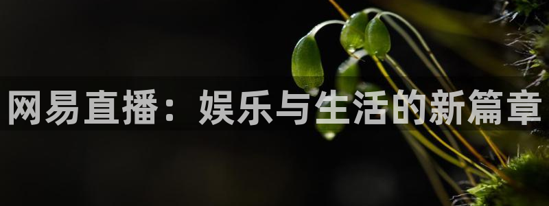 乐球直播安卓版下载：网易直播：娱乐与生活的新篇章