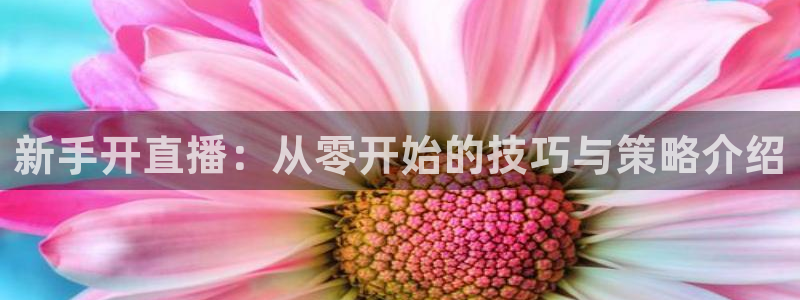 乐球直播苹果版下载安装：新手开直播：从零开始的技巧与策略介绍