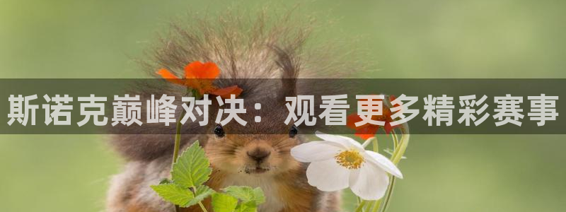 乐球吧jrs直播吧：斯诺克巅峰对决：观看更多精彩赛事