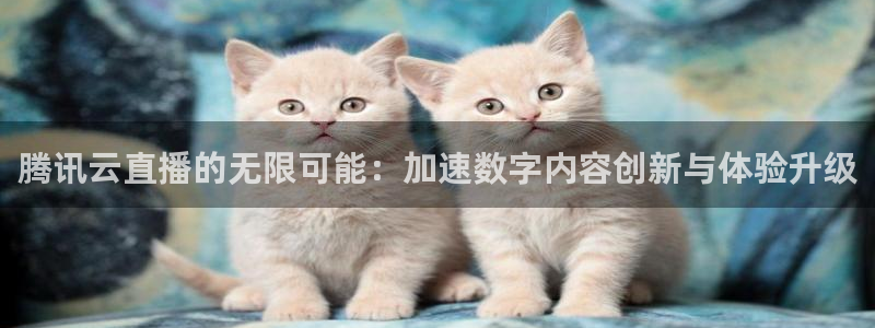 乐球体育免费直播软件