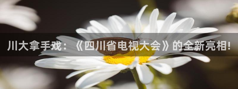 nba直播免费观看直播乐球