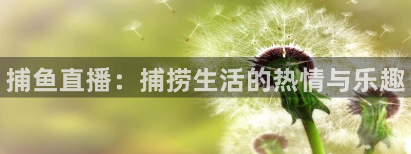 乐球直播在线看