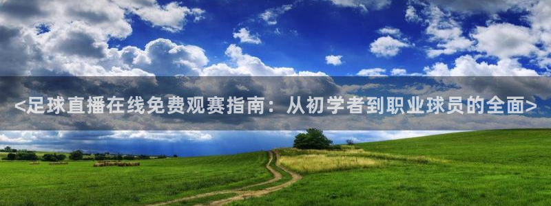 乐球吧足球直播吧nba直播jrs直播：<足球直播在线免费观赛指南：从初学者到职业球员的全面>