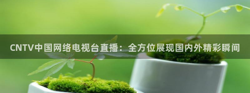 乐球直播免费体育直播回放视频：CNTV中国网络电视台直播：全方位展现国内外精彩瞬间