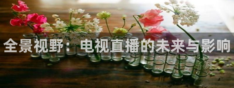 山猫乐球足球直播：全景视野：电视直播的未来与影响