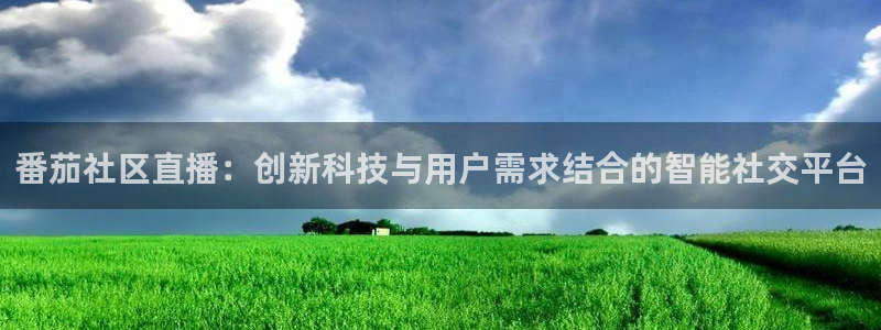 乐球免费足球直播：番茄社区直播：创新科技与用户需求结合的智能社交平台