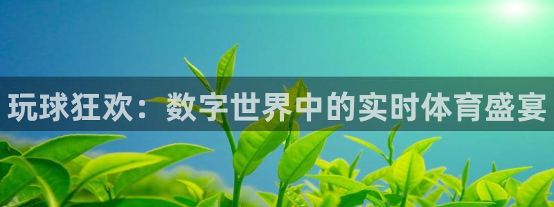 乐球直播网址：玩球狂欢：数字世界中的实时体育盛宴