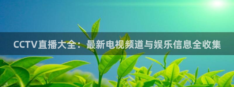 乐球体育直播在线观看免费：CCTV直播大全：最新电视频道与娱乐信息全收集