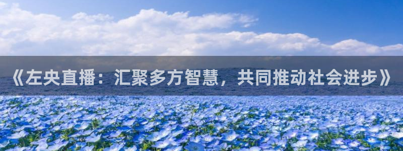 乐球直播苹果下载：《左央直播：汇聚多方智慧，共同推动社会进步》