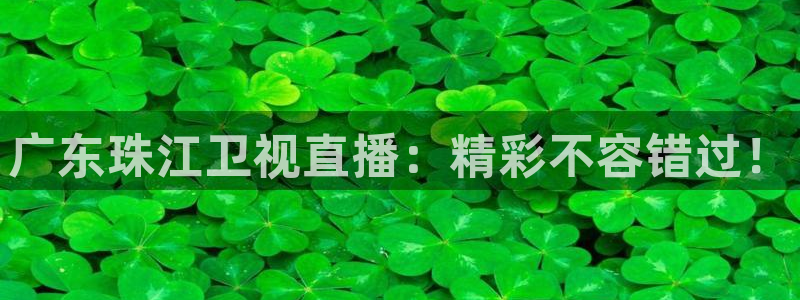 乐球直播下载官网：广东珠江卫视直播：精彩不容错过！